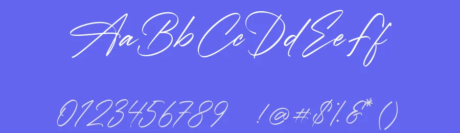 D.Signature Font by typeline studio — Script Handwritten Font — thumbnail 3