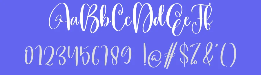 Daddio Script Font by creativeletter — Script Handwritten Font — thumbnail 3