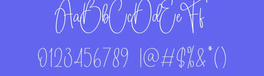 Daddy Signature Script Font by creativeletter — Script Handwritten Font — thumbnail 3