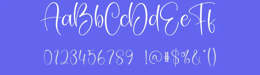 Daddy Signature Script Font by creativeletter — Script Handwritten Font — thumbnail 3