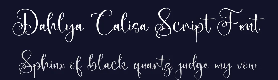 Dahlya Calisa Script Font by letterfabric — Script Handwritten Font — thumbnail 2