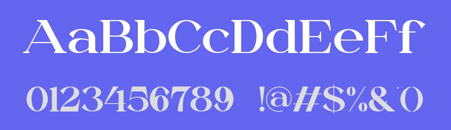 Dailen Style Font by SlideShoot — Serif Font — thumbnail 3