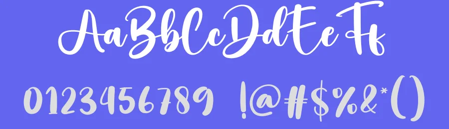 Daily Book Script Font by creativeletter — Script Handwritten Font — thumbnail 3