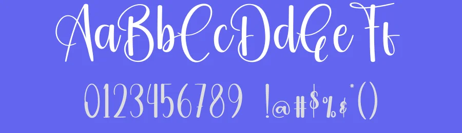 Daily Bright Script Font by creativeletter — Script Handwritten Font — thumbnail 3
