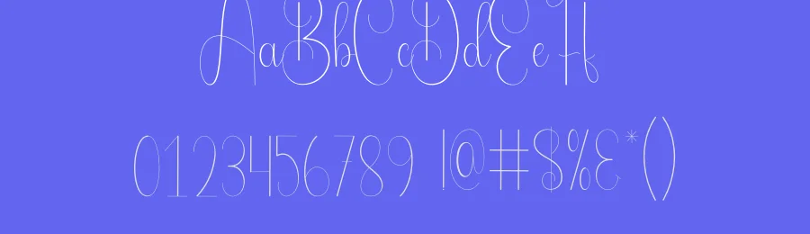 Daily Calligraphy Font by andikastudio — Script Handwritten Font — thumbnail 3