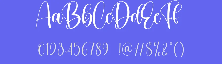 Daily Duty Calligraphy Font by creativeletter — Script Handwritten Font — thumbnail 3