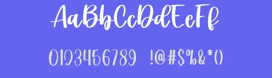 Daily Life Calligraphy Font by freshtypeink — Script Handwritten Font — thumbnail 3