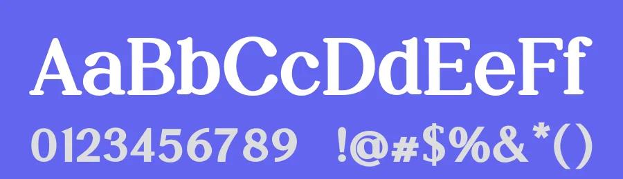 Daily Magazine Font Family by UICreative — Serif Font — thumbnail 3
