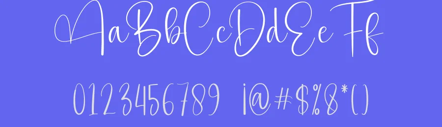 Daily Modern Script Font by creativeletter — Script Handwritten Font — thumbnail 3