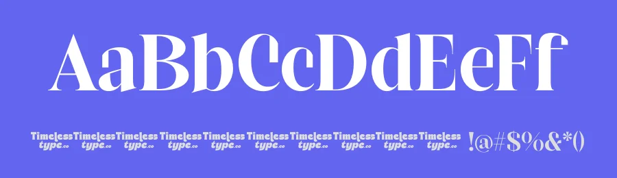 Daily Vibrant – Bold Tall Serif Font by timelesstype.co — Serif Font — thumbnail 3