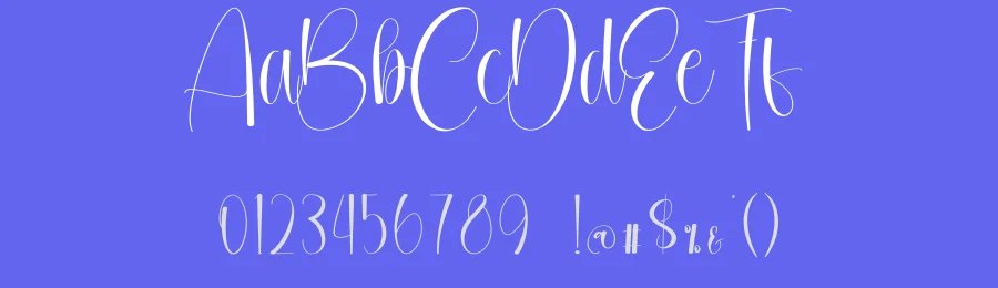 Dailyn Calligraphy Font by creativeletter — Script Handwritten Font — thumbnail 3