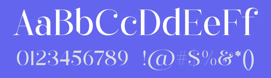 Daisihill Font by Shakira Studio — Serif Font — thumbnail 3