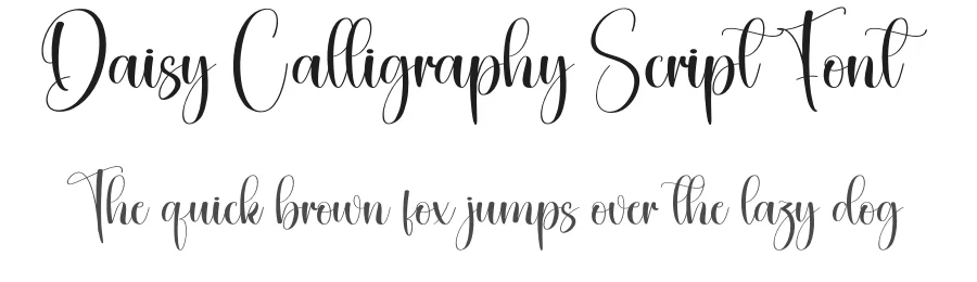 Daisy Calligraphy Script Font by creativeletter — Script Handwritten Font
