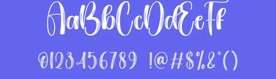Daisy Display Font by creativeletter — Script Handwritten Font — thumbnail 3