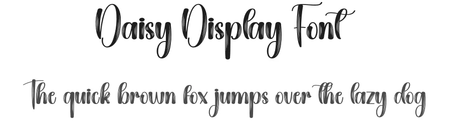 Daisy Display Font by creativeletter — Script Handwritten Font
