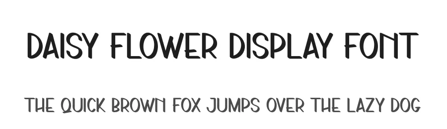 Daisy Flower Display Font by andikastudio — Display Font