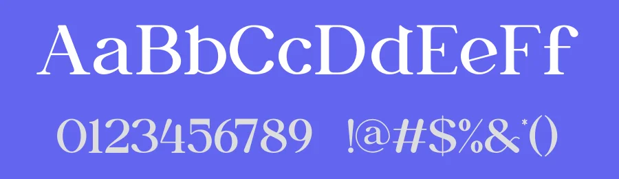Daisya Modern Serif Font by ErmediaStudio — Serif Font — thumbnail 3