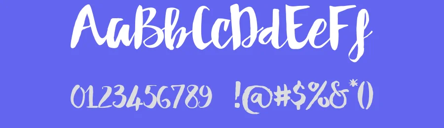 Dakota Script Font by Hamilton — Script Handwritten Font — thumbnail 3