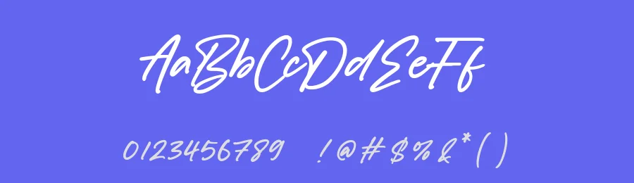 Dancingdog Modern Calligraphy Font by balpirick — Script Handwritten Font — thumbnail 3