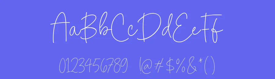 Dandelion Harvest Font by Timur type — Script Handwritten Font — thumbnail 3