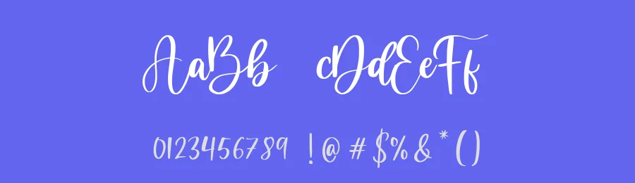 Dandelion Modern Calligraphy Font by balpirick — Script Handwritten Font — thumbnail 3