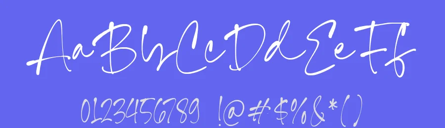 Daniel Finley Font by Timur type — Script Handwritten Font — thumbnail 3