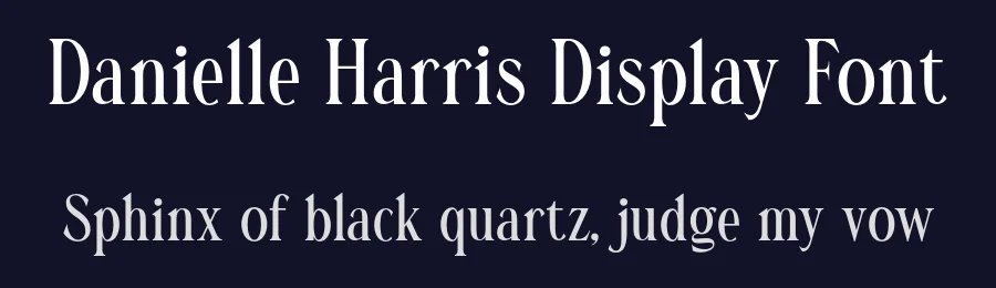 Danielle Harris Display Font by Letterhend — Decorative Font — thumbnail 2