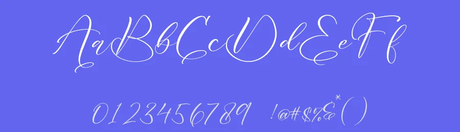 Dantony Holanda Font by letterfabric — Script Handwritten Font — thumbnail 3