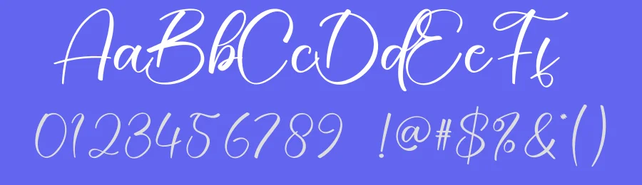 Darling Calligraphy Typeface by creativeletter — Script Handwritten Font — thumbnail 3