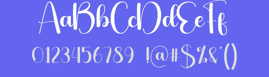 Darling Calligraphy Typeface by creativeletter — Script Handwritten Font — thumbnail 3
