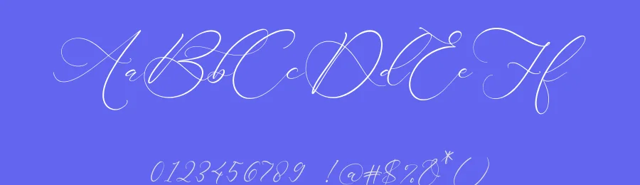 Darling Carlina Font by letterfabric — Script Handwritten Font — thumbnail 3