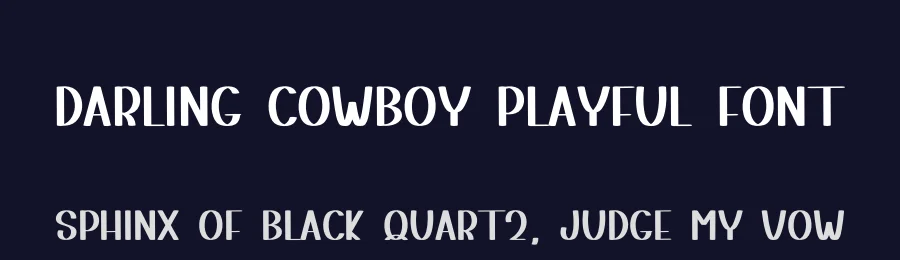 Darling Cowboy Playful Font by freshtypeink — Display Font — thumbnail 2