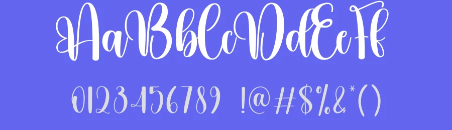 Darling Script Typeface by creativeletter — Script Handwritten Font — thumbnail 3
