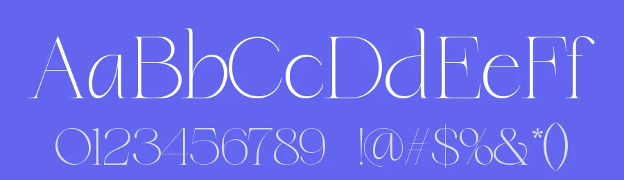 Dary Font by zaain type — Serif Font — thumbnail 3
