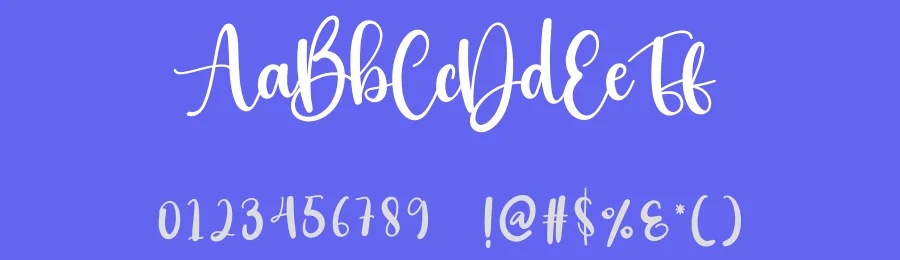Dashing Script Font by creativeletter — Script Handwritten Font — thumbnail 3