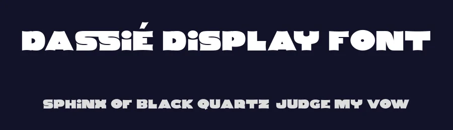 Dassie Display Font by prioritype — Serif Font — thumbnail 2