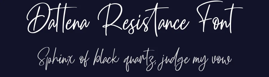 Dattena Resistance Font by Lettermine — Decorative Font — thumbnail 2