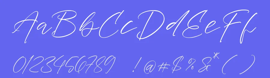 Dayland Vintage Script Font by stylishtype.co — Script Handwritten Font — thumbnail 3