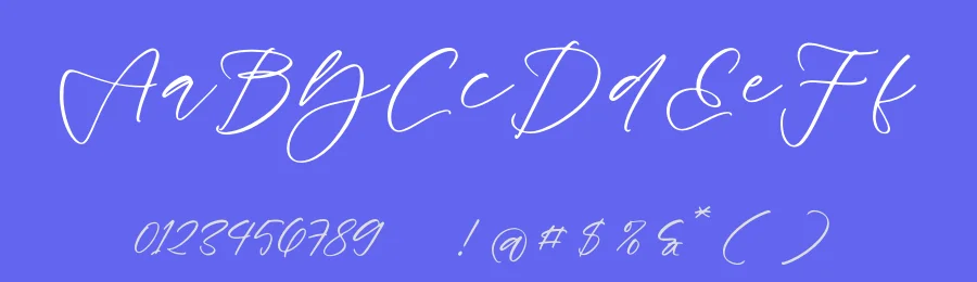 Daylight Beauty Script Font by Operatype.Co — Script Handwritten Font — thumbnail 3