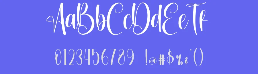 Daymaker Script Font by creativeletter — Script Handwritten Font — thumbnail 3