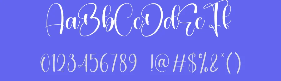 Daytona Calligraphy Font by creativeletter — Script Handwritten Font — thumbnail 3