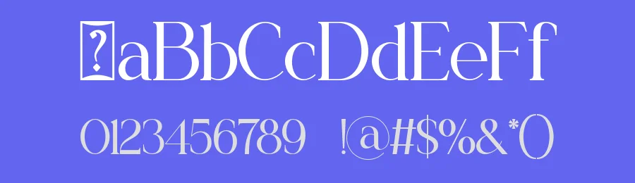 Dealva Serif Font by ErmediaStudio — Serif Font — thumbnail 3