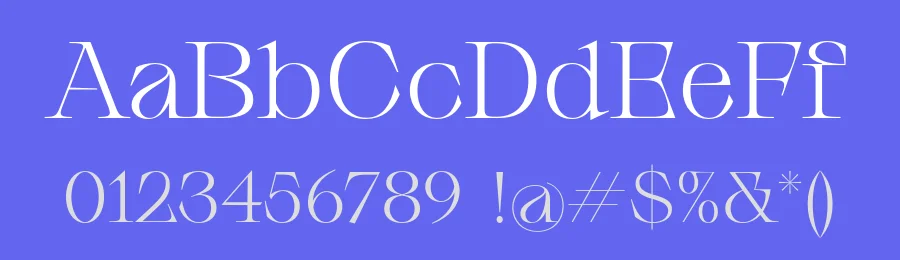Decay White Font by Due Studio — Serif Font — thumbnail 3