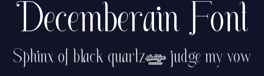 Decemberain Font by noahtype — Display Font — thumbnail 2