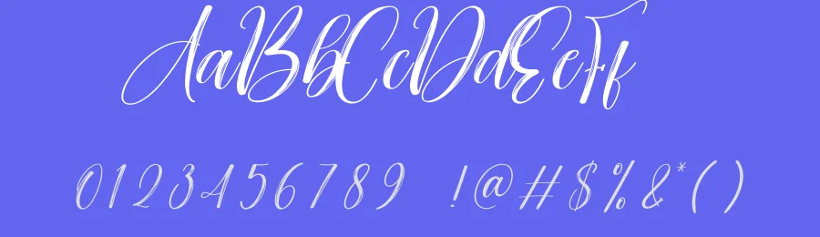 Decoration Script Font by creativeletter — Script Handwritten Font — thumbnail 3
