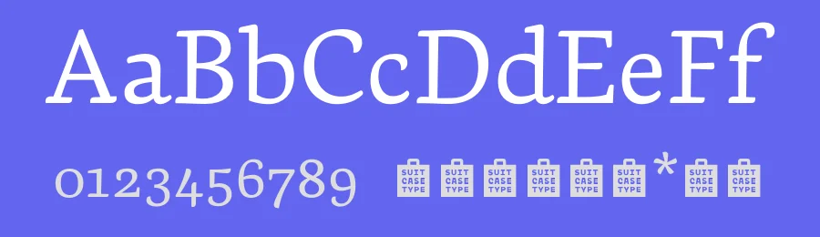 Dederon Font Family by Suitcase Type Foundry — Serif Font — thumbnail 3