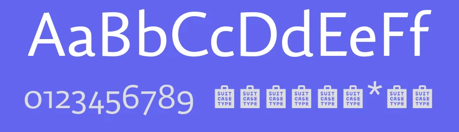 Dederon Sans Font Family by Suitcase Type Foundry — Decorative Font — thumbnail 3
