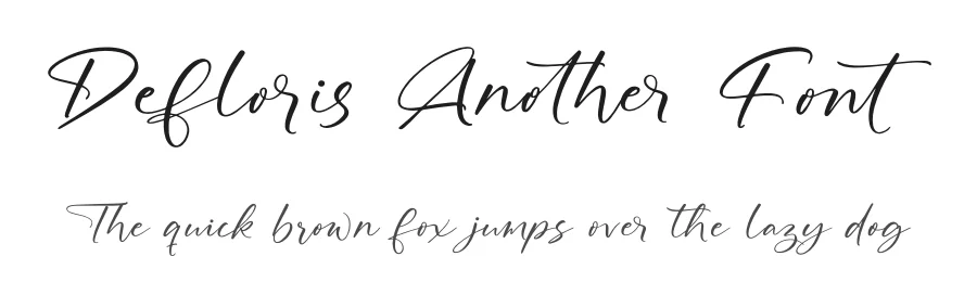 Defloris Another Font by stylishtype.co — Script Handwritten Font