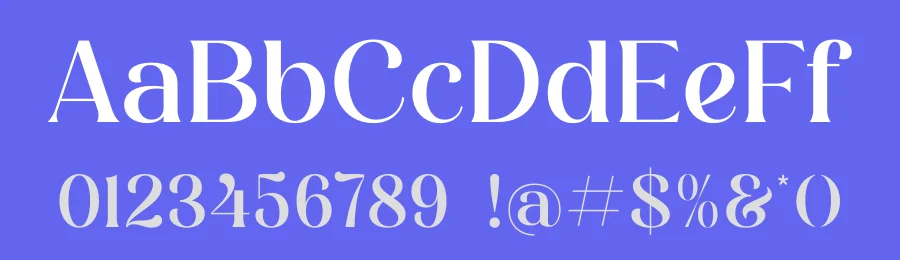 Degila Serif Font by Storytype — Serif Font — thumbnail 3