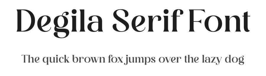 Degila Serif Font by Storytype — Serif Font